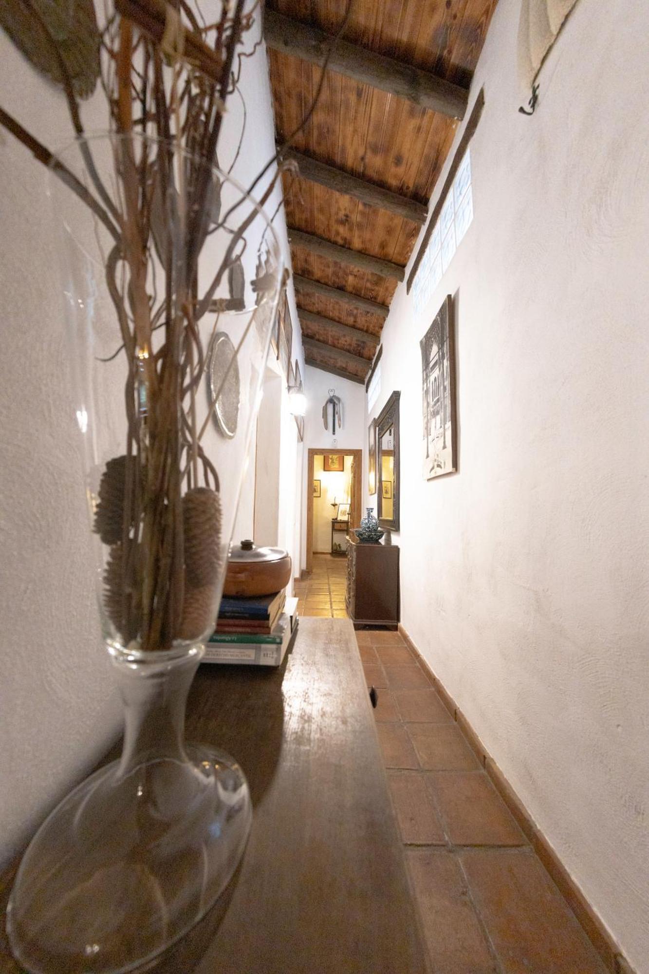 La Cuadra, Finca A Los Pies De Sierra Nevada, A 10 Minutos Del Centro, Piscina, Jardin, Barbacoa La Zubia  Εξωτερικό φωτογραφία