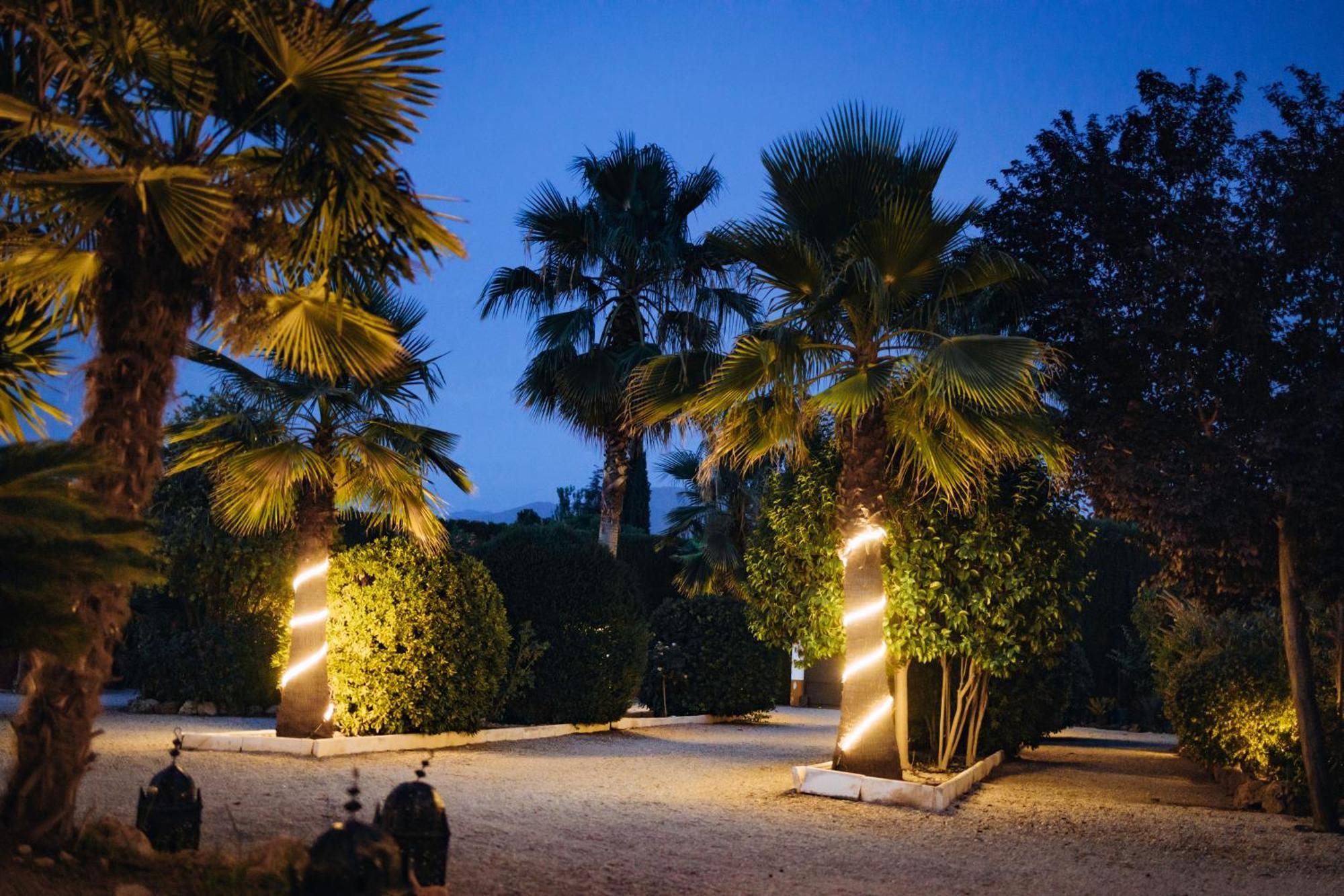 La Cuadra, Finca A Los Pies De Sierra Nevada, A 10 Minutos Del Centro, Piscina, Jardin, Barbacoa La Zubia  Εξωτερικό φωτογραφία