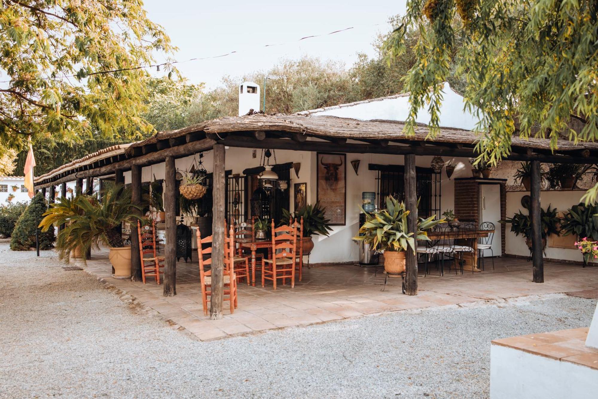 La Cuadra, Finca A Los Pies De Sierra Nevada, A 10 Minutos Del Centro, Piscina, Jardin, Barbacoa La Zubia  Εξωτερικό φωτογραφία