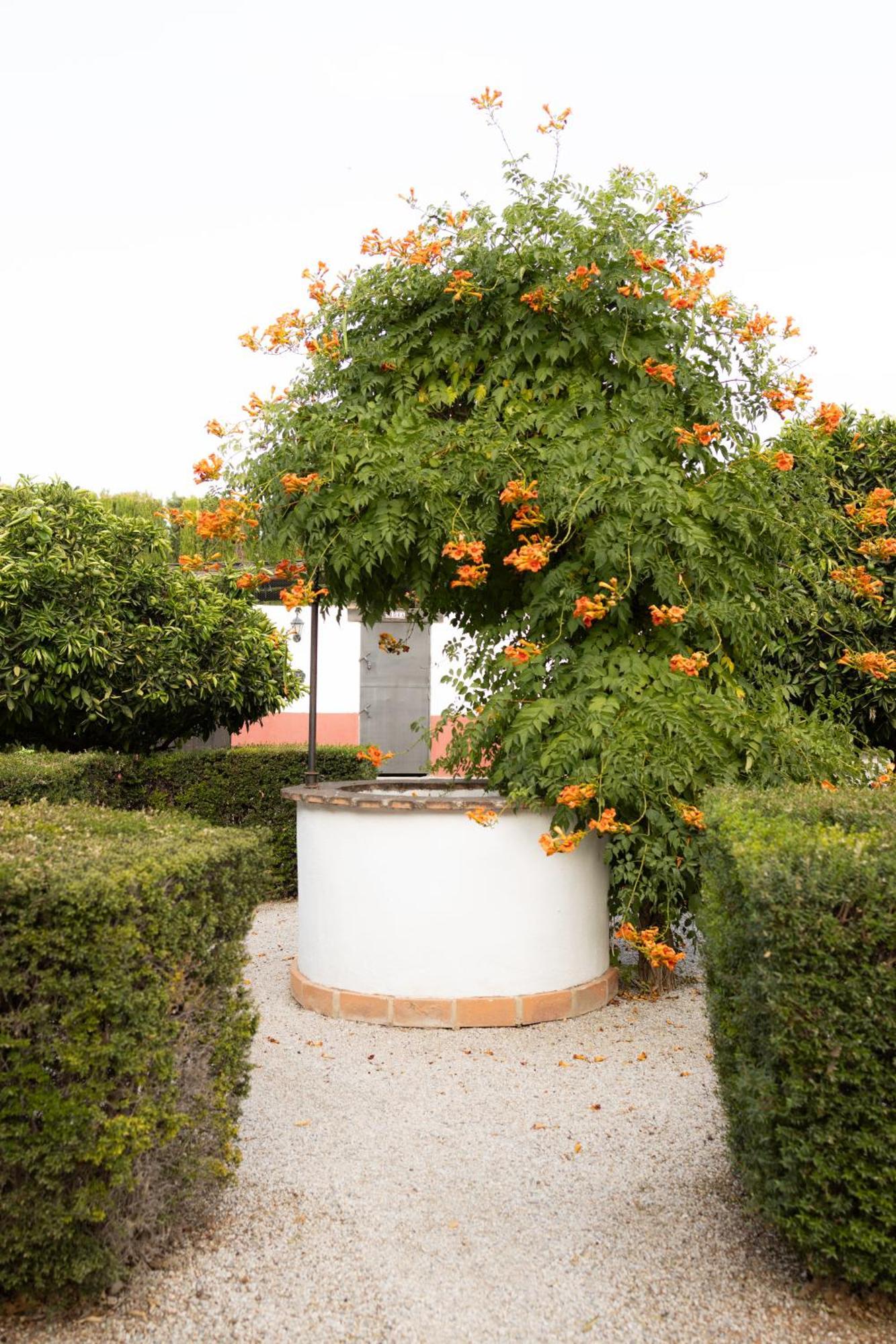 La Cuadra, Finca A Los Pies De Sierra Nevada, A 10 Minutos Del Centro, Piscina, Jardin, Barbacoa La Zubia  Εξωτερικό φωτογραφία
